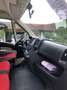 Fiat Ducato L2H2 teilverglast Beige - thumbnail 8