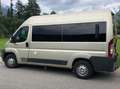 Fiat Ducato L2H2 teilverglast Beige - thumbnail 2