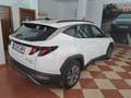 Hyundai TUCSON 1.6 CRDI 48V Maxx 4x2 DT Blanco - thumbnail 13