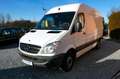 Mercedes-Benz Sprinter II Kasten 313 CDI/Werkstattausrüstung Weiß - thumbnail 8