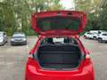 Toyota Yaris 1.5 Y20 Club Matrix Facelift Fernlichtass. Rot - thumbnail 7