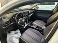 SEAT Leon Leon 2.0 TDI Business Bianco - thumbnail 13