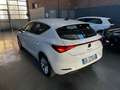 SEAT Leon Leon 2.0 TDI Business Bianco - thumbnail 5