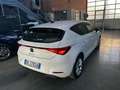 SEAT Leon Leon 2.0 TDI Business Bianco - thumbnail 7