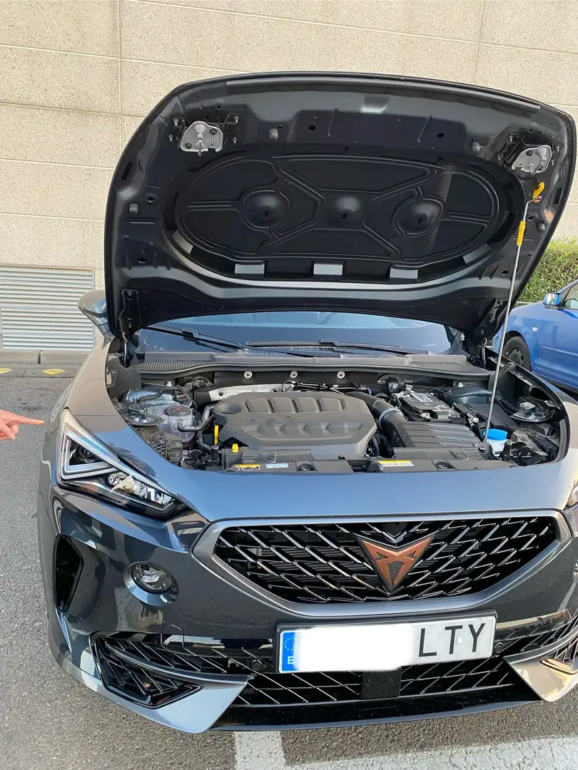 CUPRA Formentor Formentor 2.0 TSI 190 DSG 4Drive Gris - 2