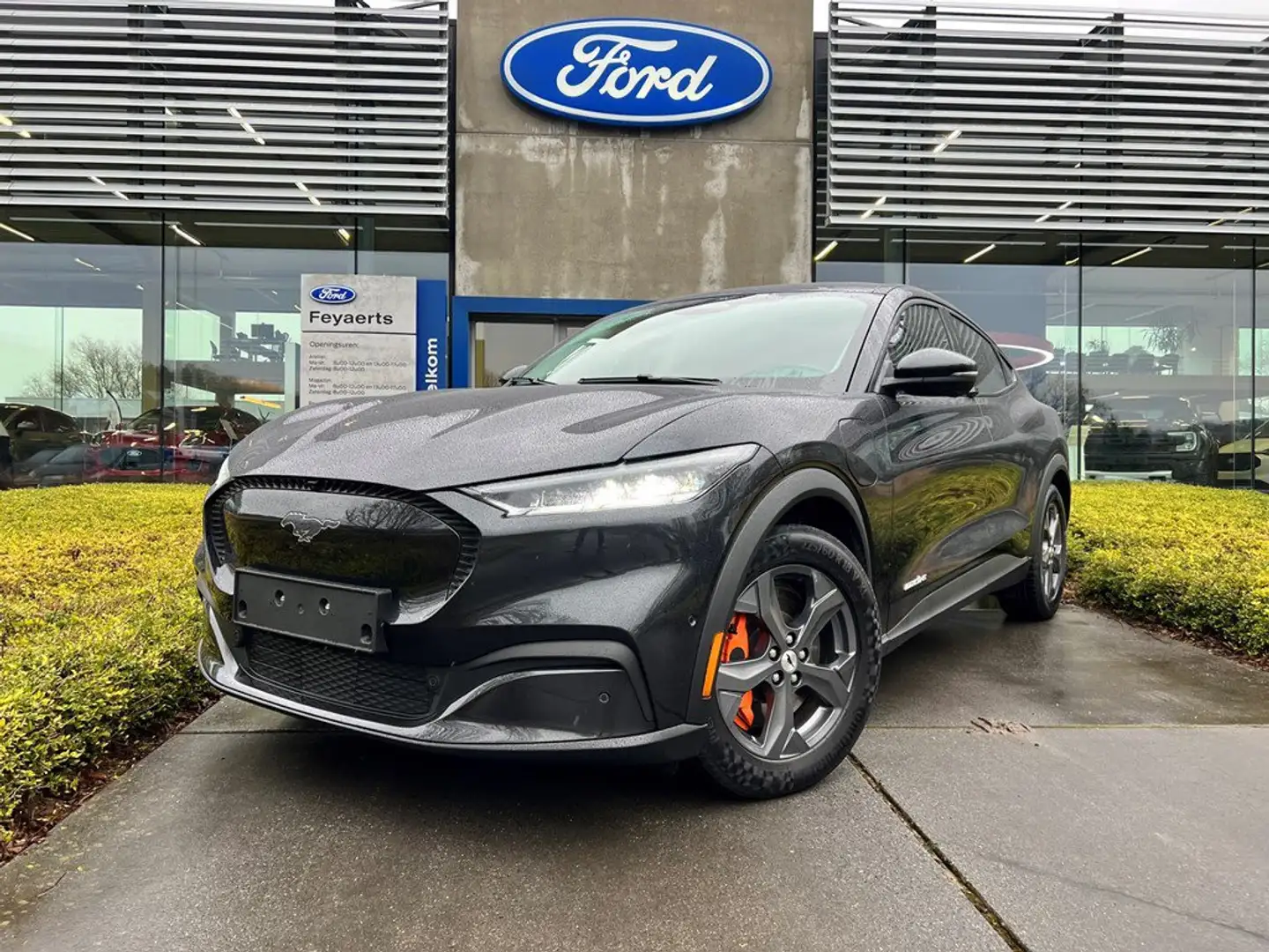 Ford Mustang Mach-E RWD / 76 kWh / 269 PK! Сірий - 2
