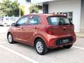 Kia Picanto ***7 ANNI GARANZIA*** Picanto 1.0 DPI Urban Techno Rosso - thumbnail 4