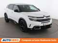Citroen C5 Aircross 1.5 Blue-HDi Business 130 CV EAT8 Blanc - thumbnail 8