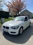 BMW 114 114i Blanc - thumbnail 1