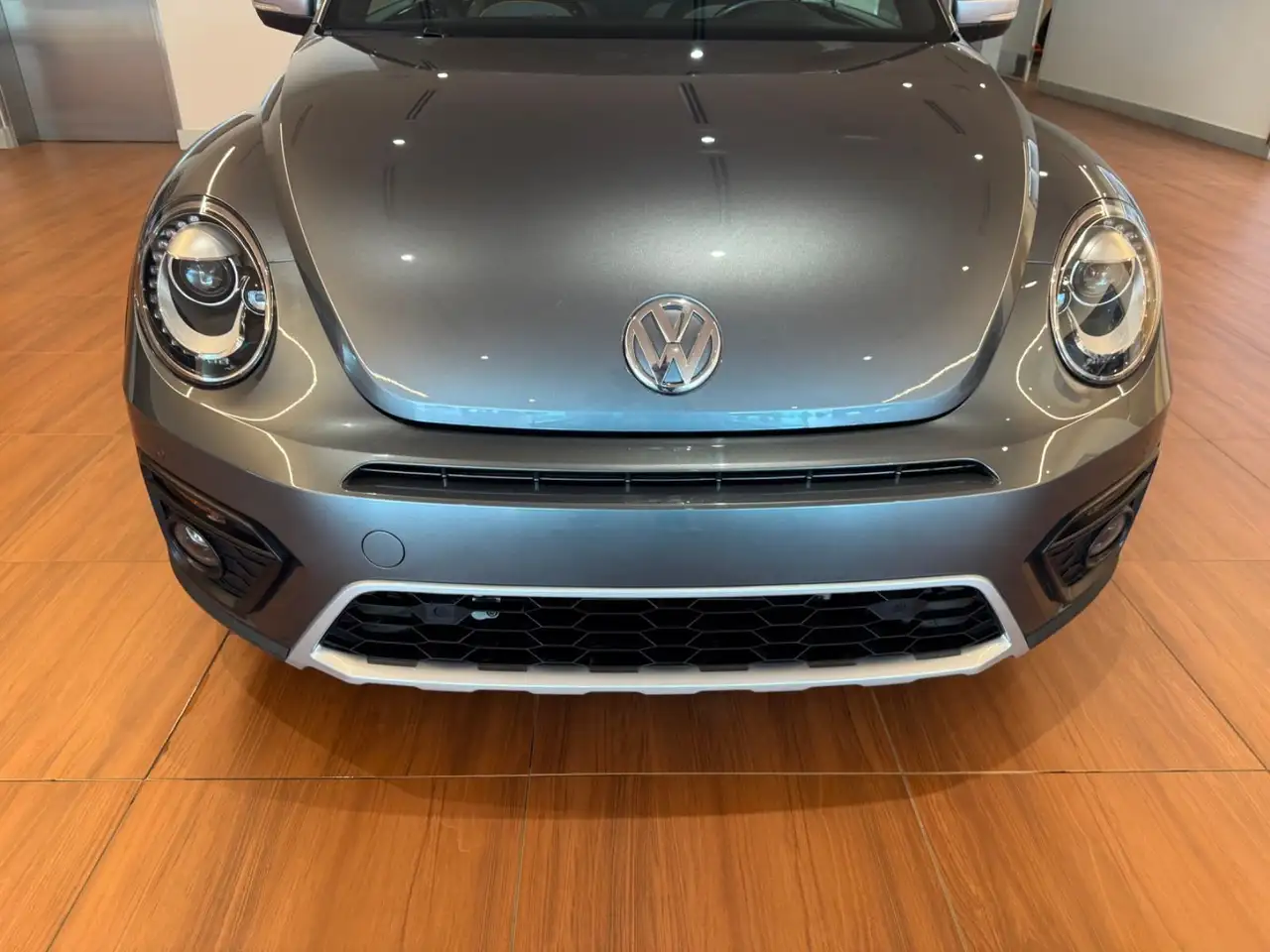 Volkswagen Beetle photo Volkswagen Beetle