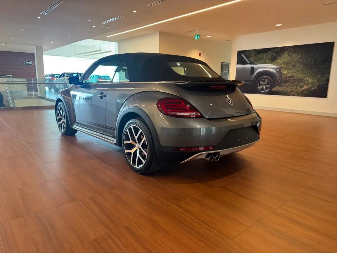 Volkswagen Beetle photo Volkswagen Beetle