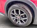 Fiat Tipo 5 Porte 1.3 Multijet City Cross Rojo - thumbnail 15
