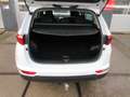 Kia Sportage 1.6 GDI DynamicLine / Navi / PDC/ LMV Blanc - thumbnail 8