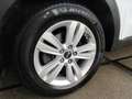 Kia Sportage 1.6 GDI DynamicLine / Navi / PDC/ LMV Blanc - thumbnail 12