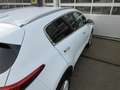 Kia Sportage 1.6 GDI DynamicLine / Navi / PDC/ LMV Blanc - thumbnail 11