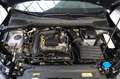 SEAT Arona Move 1.0 TSI*LED*KLIMATRONIK*SITZHEIZUNG Grau - thumbnail 18