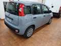 Fiat Panda Panda 1.0 firefly hybrid s Plateado - thumbnail 4