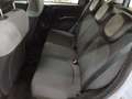 Fiat Panda Panda 1.0 firefly hybrid s Plateado - thumbnail 11