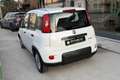 Fiat New Panda Panda 1.0 FireFly S&S Hybrid Weiß - thumbnail 6