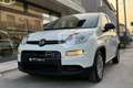 Fiat New Panda Panda 1.0 FireFly S&S Hybrid Weiß - thumbnail 7