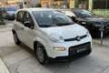 Fiat New Panda Panda 1.0 FireFly S&S Hybrid Weiß - thumbnail 3