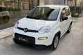 Fiat New Panda Panda 1.0 FireFly S&S Hybrid Weiß - thumbnail 1