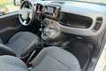 Fiat New Panda Panda 1.0 FireFly S&S Hybrid Weiß - thumbnail 11