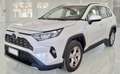 Toyota RAV 4 2.5 vvt-ie h Business awd-i 222cv e-cvt Bianco - thumbnail 1