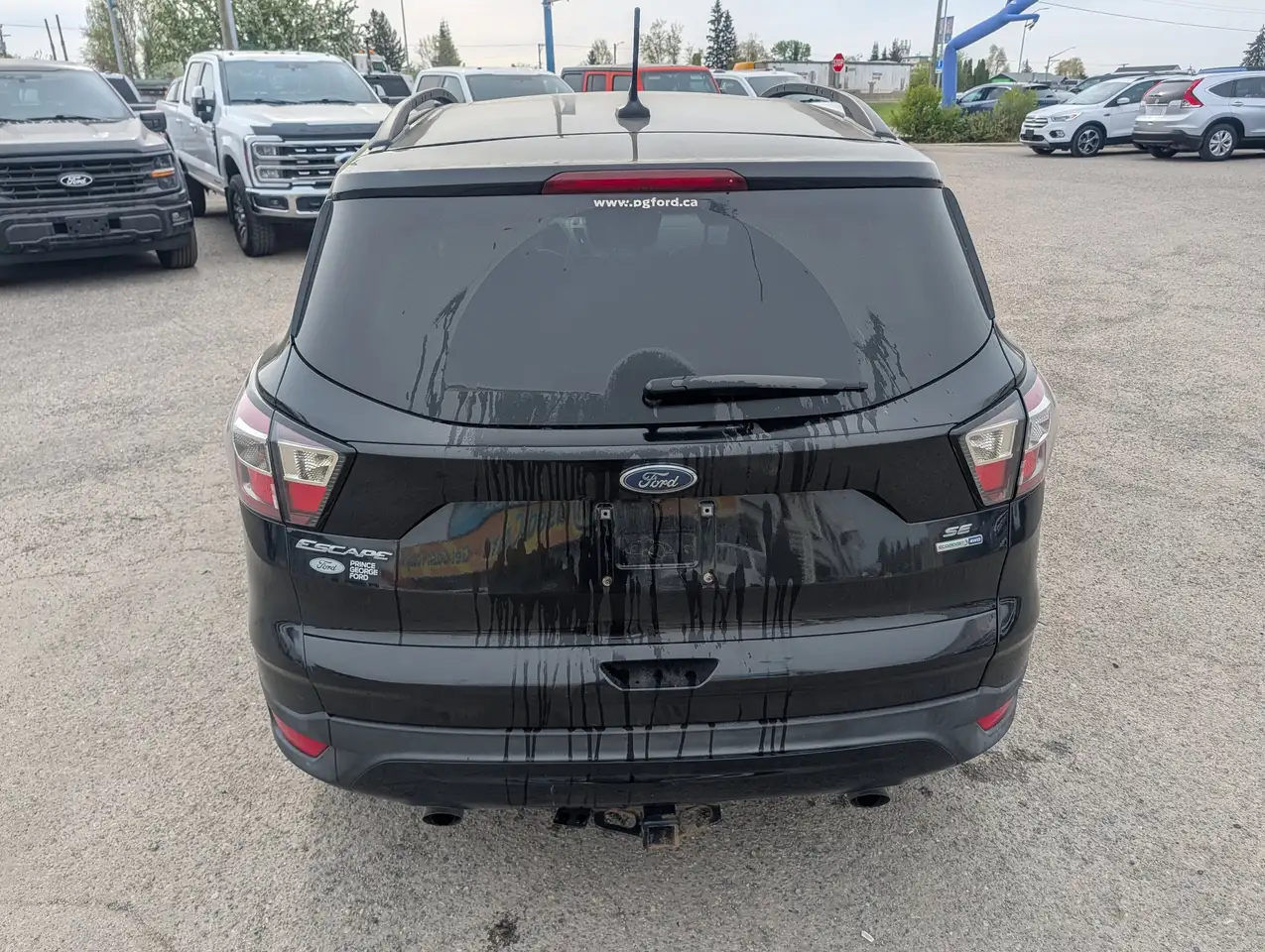 Ford Escape снимка Ford Escape