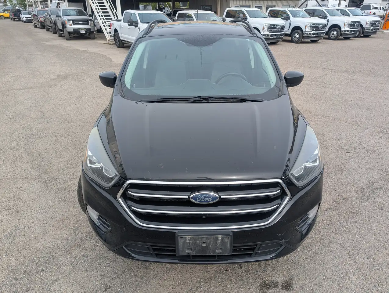 Ford Escape снимка Ford Escape
