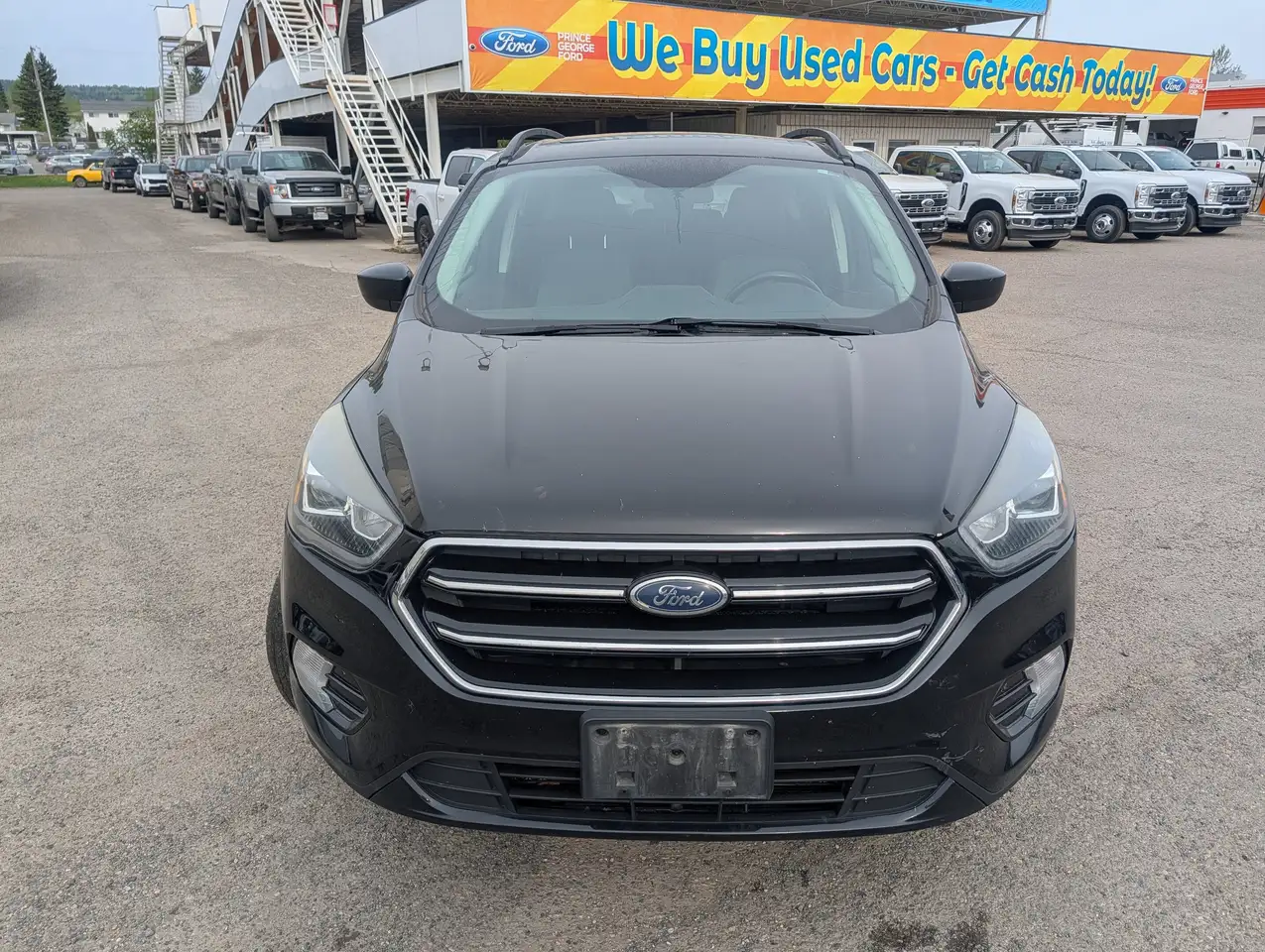 Ford Escape снимка Ford Escape