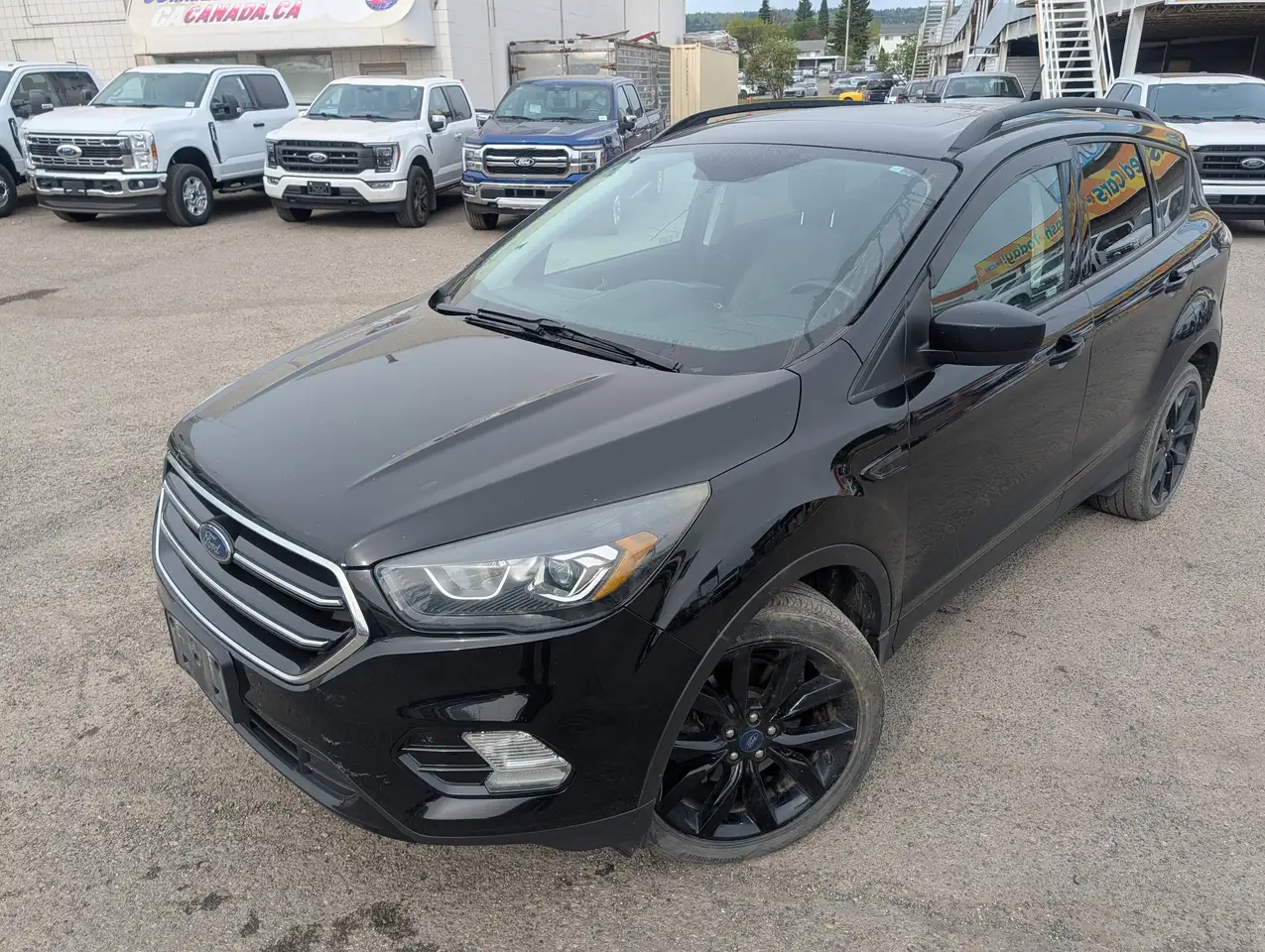 Ford Escape снимка Ford Escape