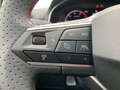 SEAT Ibiza Anniversary Edit 1.5 TSI DSG FR BEATS+LED Gris - thumbnail 22