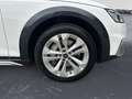 Audi A4 allroad A4 allroad 50 TDI quattro AHK Kamera LED Navi Ke Weiß - thumbnail 11