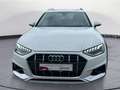 Audi A4 allroad A4 allroad 50 TDI quattro AHK Kamera LED Navi Ke Weiß - thumbnail 6