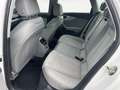 Audi A4 allroad A4 allroad 50 TDI quattro AHK Kamera LED Navi Ke Weiß - thumbnail 8