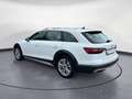 Audi A4 allroad A4 allroad 50 TDI quattro AHK Kamera LED Navi Ke Weiß - thumbnail 3