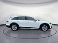 Audi A4 allroad A4 allroad 50 TDI quattro AHK Kamera LED Navi Ke Weiß - thumbnail 5