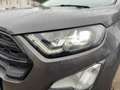Ford EcoSport ST-LINE +KAMERA+LED+TWA+WINTER-PAKET Grau - thumbnail 15