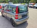 Fiat Panda 1.2 8V MyLive Kein Tüv Grau - thumbnail 4