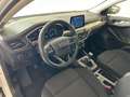Ford Focus Turnier 1,5 EcoBlue "Titanium X"*NAVI Blanc - thumbnail 12