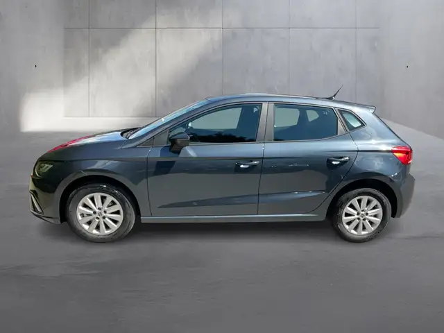 Seat Ibiza view 2