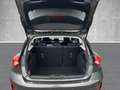 Ford Focus 1.0 EcoBoost Titanium LED Navi Lenkradhzg Grau - thumbnail 14