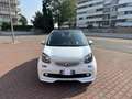 smart forFour Superpassion Twinamic *22.000km* Bianco - thumbnail 2