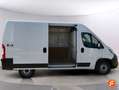 Fiat Ducato 30 L2H2 2.3 103 kW (140 CV) Blanco - thumbnail 11