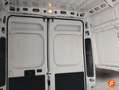 Fiat Ducato 30 L2H2 2.3 103 kW (140 CV) Blanco - thumbnail 13