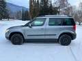 Skoda Yeti Yeti Twenty Elegance 2,0 TDI CR DPF Twenty Elegance Silber - thumbnail 3