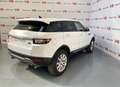 Land Rover Range Rover Evoque 2.0TD4 Pure 4WD 150 Wit - thumbnail 14