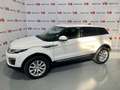 Land Rover Range Rover Evoque 2.0TD4 Pure 4WD 150 Wit - thumbnail 4
