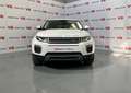 Land Rover Range Rover Evoque 2.0TD4 Pure 4WD 150 Wit - thumbnail 7